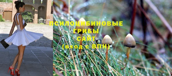 ГАЛЛЮЦИНОГЕННЫЕ ГРИБЫ Абдулино