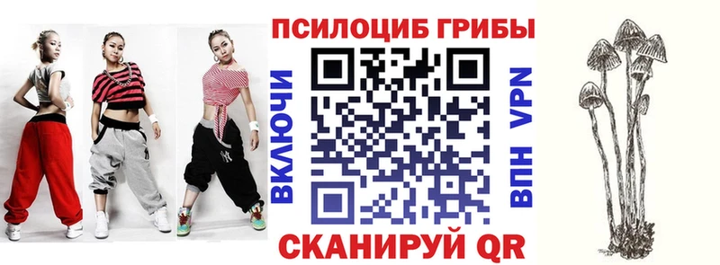 как найти закладки  Тайга  Псилоцибиновые грибы Psilocybe 